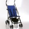 Eco Buggy