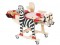 zebra2